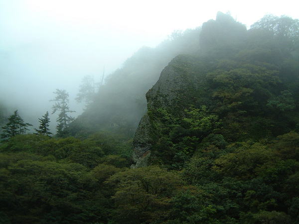 霧に包まれた出雲・立久恵峡