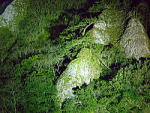 スポットライトを浴びる出雲・立久恵峡の奇岩