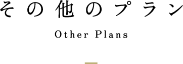 その他プラン