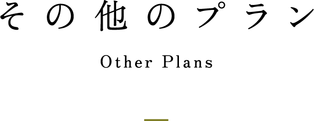 その他プラン