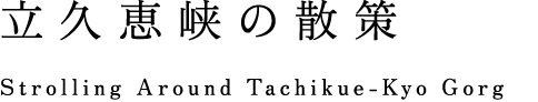 立久恵峡の散策