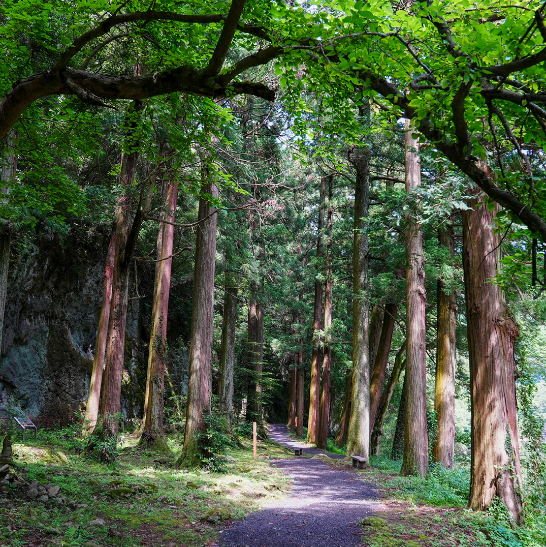 立久恵峡の散策